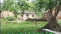 郭永章坠子-报母恩