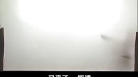 唐山皮影戏 大金牌 第16集