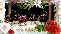 广场舞《美了美了》