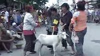 民间小调 憨子看艳舞：4