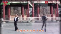 王子广场舞 《新年快乐》  教学
