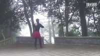 大湾群联原创广场舞 动起来 附分解教学及背