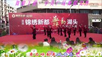 首届“锦绣新城  舞动湖头”广场舞大赛《请