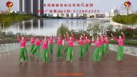 艳艳广场舞--好兆头