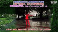 兴梅广场舞原创舞蹈《小鲜肉》正背面分解教