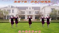 大宇广场舞《梦里人》