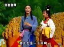 传统正戏《刘小姐观星》【刘金定观星】 李