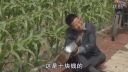 关东微喜剧《真是一家人》