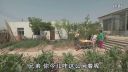 关东微喜剧《怕老婆》