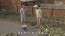 关东微喜剧《打赌》