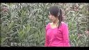 云南山歌剧 《背着婆婆去嫁人》全集