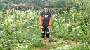 云南山歌剧《重男轻女害儿子》
