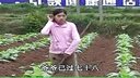 云南山歌剧《雪上加霜惨中惨》2