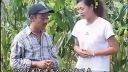 安徽民间小调《婆婆疯妻儿浪》上集