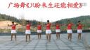 广场舞教学完整版《只盼来生还能相爱》
