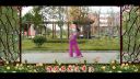 简单广场舞教学《梅花泪》