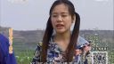 百家碎戏《我不是为了娶你》陕西方言