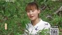 百家碎戏《桃园情》陕西方言