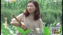 百家碎戏《不一样的媳妇》
