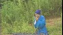 黄梅戏 《海螺蹬检子》