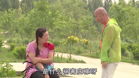 关东微喜剧《以身殉情》
