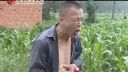 民间小调《悔恨的泪》1