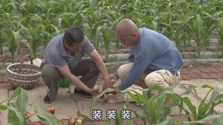 关东微喜剧《傻蛋邮桃》
