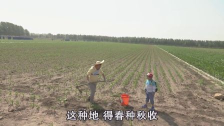 关东微喜剧《种啥长啥》