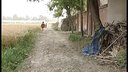 民间小调《小姨子跟姐夫过》 下集