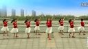 2016年最新最流行广场舞《小小草》教学视频