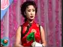 《马寡妇开店》下本  也叫《状元图》《阴功报》 孙艳芳 王小力下载