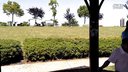 黄梅戏《罗帕记》春情无限心花放
