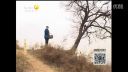 百家碎戏 《三送鸡毛信》