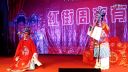 安徽省益兴黄梅剧团专场《女驸马》选场洞房下载
