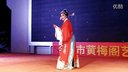 黄梅戏选唱《谁料皇榜中状元》
