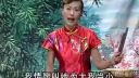 河南坠子《少侠包公案》1至10集合并