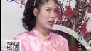 河南坠子《少侠包公案》04