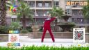 广场舞《兄弟喝个够》正反面附口令分解教学