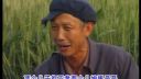 民间小调《当爹难当公公更难》02