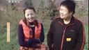 百家碎戏《憨娃的美好婚姻》