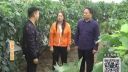 百家碎戏《红提的笑脸》