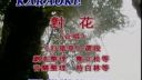 黄梅戏《对花》选段