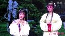诸暨市越剧团《珍珠塔》下载
