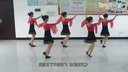 穿心村广场舞《梦中的蝴蝶》