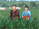 田间地头二人转《包公赔情》下载