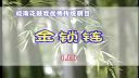皖南花鼓戏《金锁链》