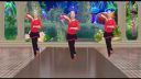 广场舞《我让风儿告诉你》正反面附口令分解