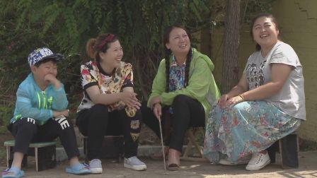 关东微喜剧《不是亲生的》