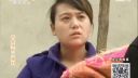 百家碎戏《不会哭的儿媳妇》
