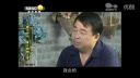 百家碎戏《爱了钱毁了家》